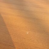 Compass foot table with potential 130x90