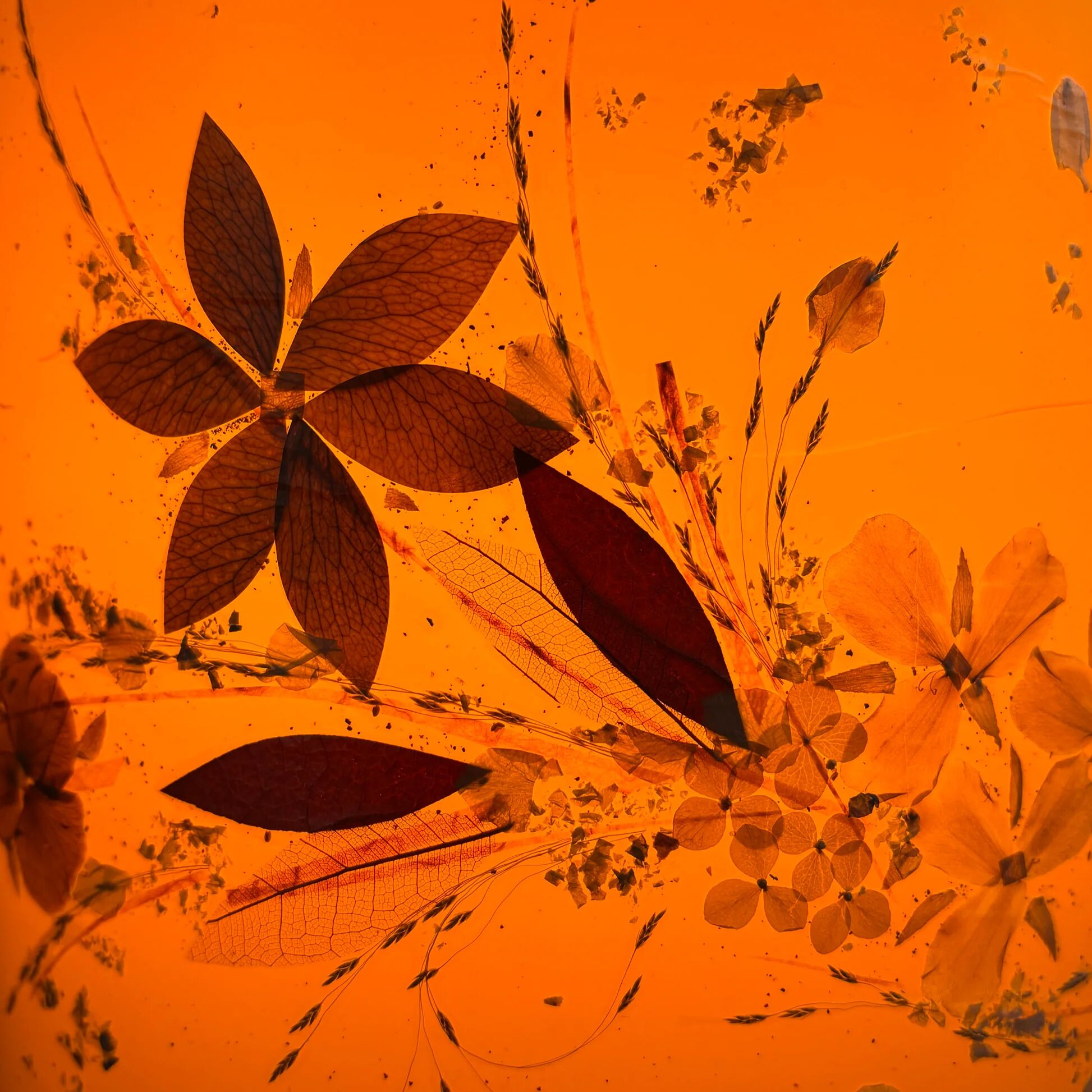 Vintage lampshade with dried flowers