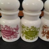 Complete spice rack with opaline pots