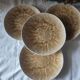 Set of 4 mushroom-style glazed ceramic plates