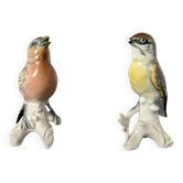 Pair of Karl Ens polychrome porcelain birds from Saxony