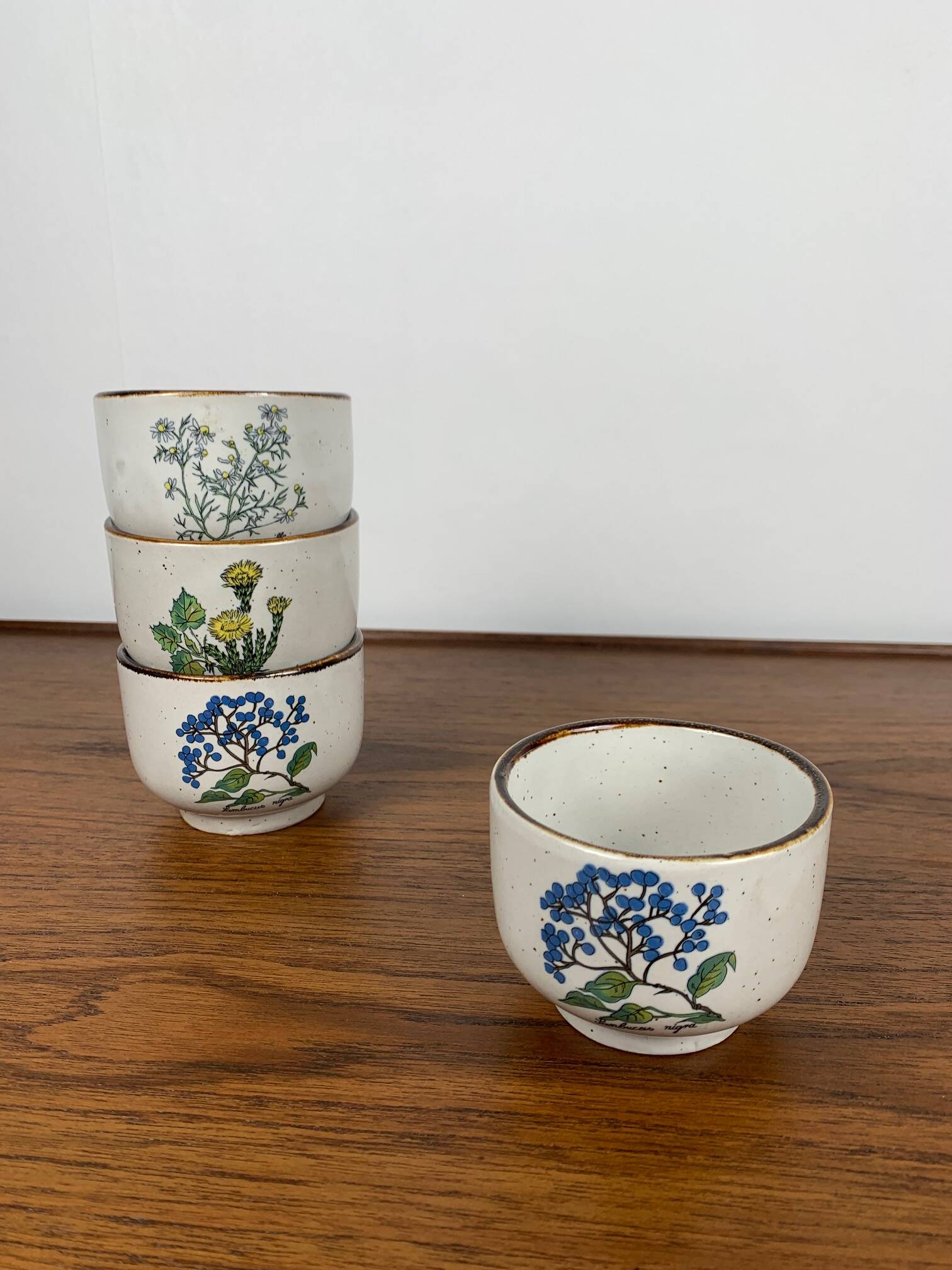 Set de 4 tasse à thé "herbier" , 1960/70, céramique