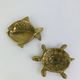 Pair of animal trinket trays in brass, fish and turtle.