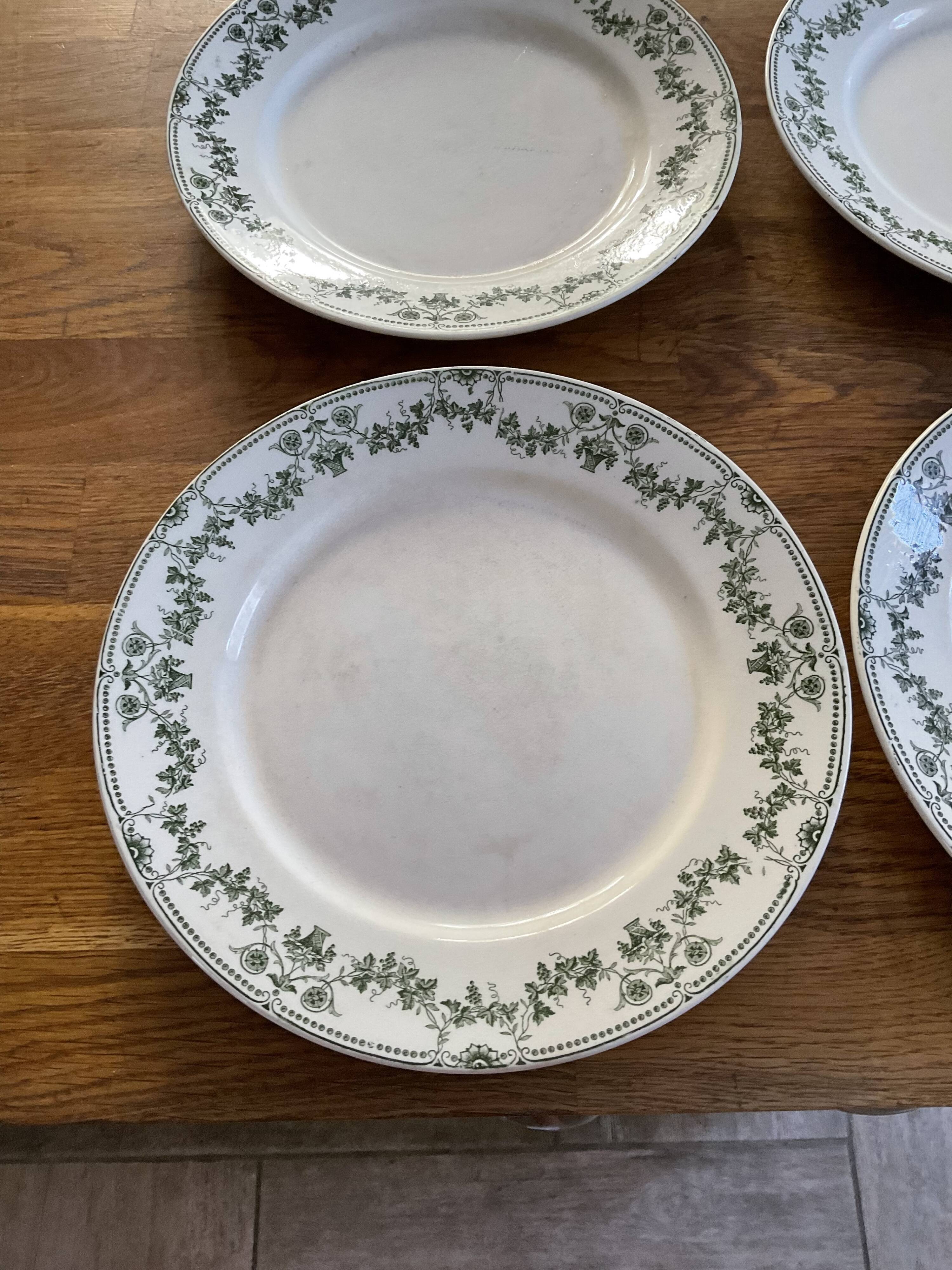 Set 6 flat plates badonviller model champagne