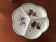 Tognana porcelain compartmentalized cup "Le Terrine Botaniche"