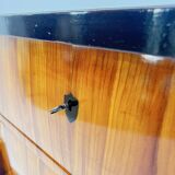 Biedermeier Chest of Drawers in Ebonized & Gilded Cherry Wood, Franconia, 1820s