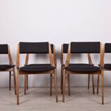 Polish Ski Jumper Chairs from Zamojska, 1970s, Set of 6