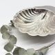 Large shell signed "Saint Hilaire", 1950s