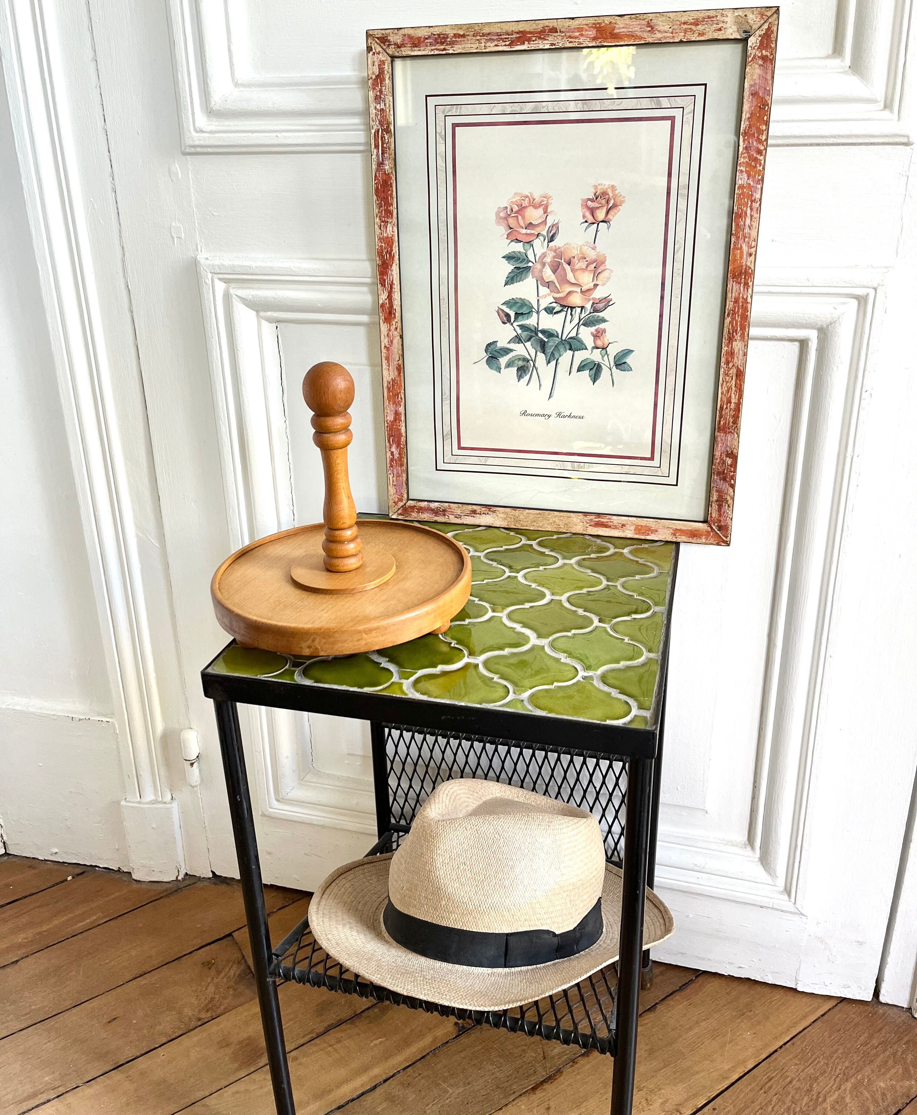 Botanical plate of roses under frame