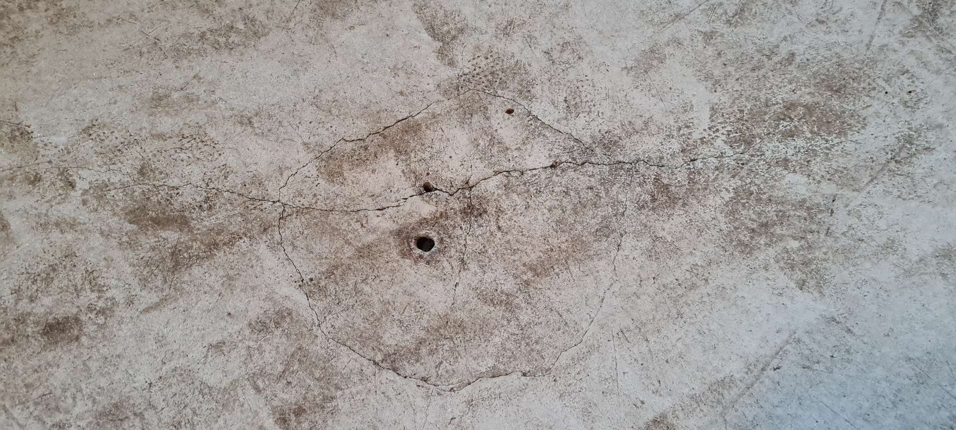 Vintage planter René Pechère - 150cm