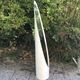Large mirror Lipstick Roger Lecal ed Chabriere 1970