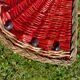 Retro Watermelon Basket