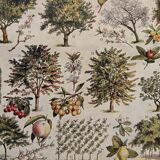 Planche illustrée vintage sur le verger - 1930