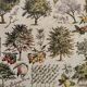 Vintage illustrated orchard print - 1930
