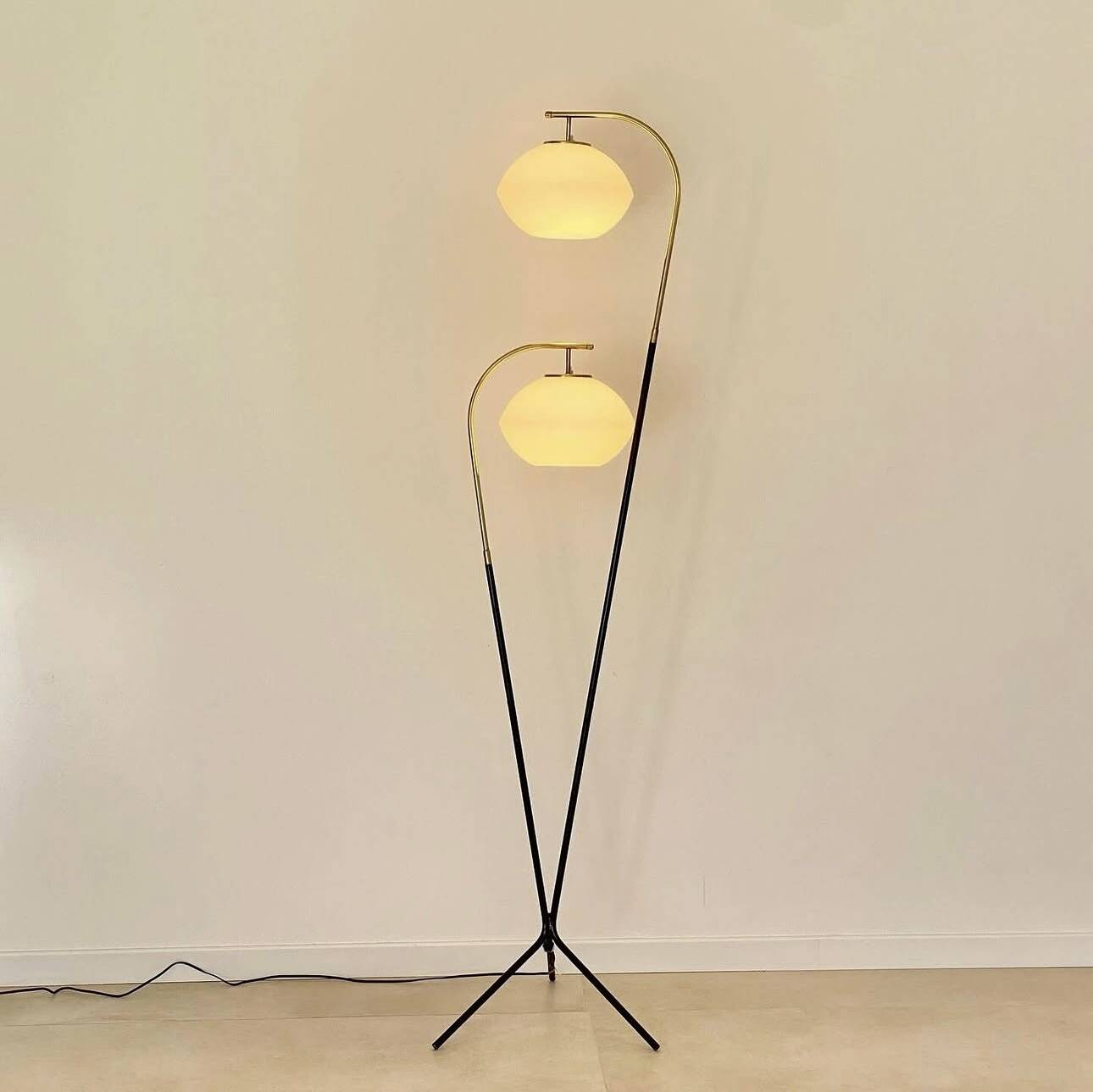 Vintage Stilnovo floor lamp 1969