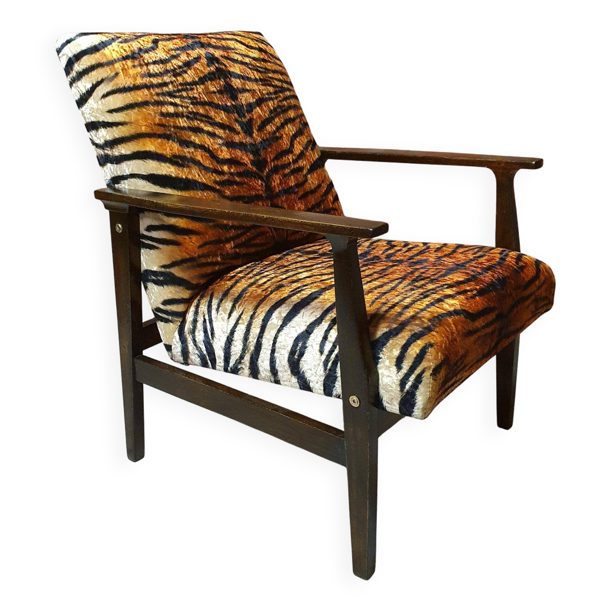 Renovated armchair BW-14, Tiger, Poland 1960s