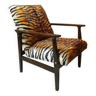 Fauteuil rénové BW-14, Tiger, Pologne, années 1960