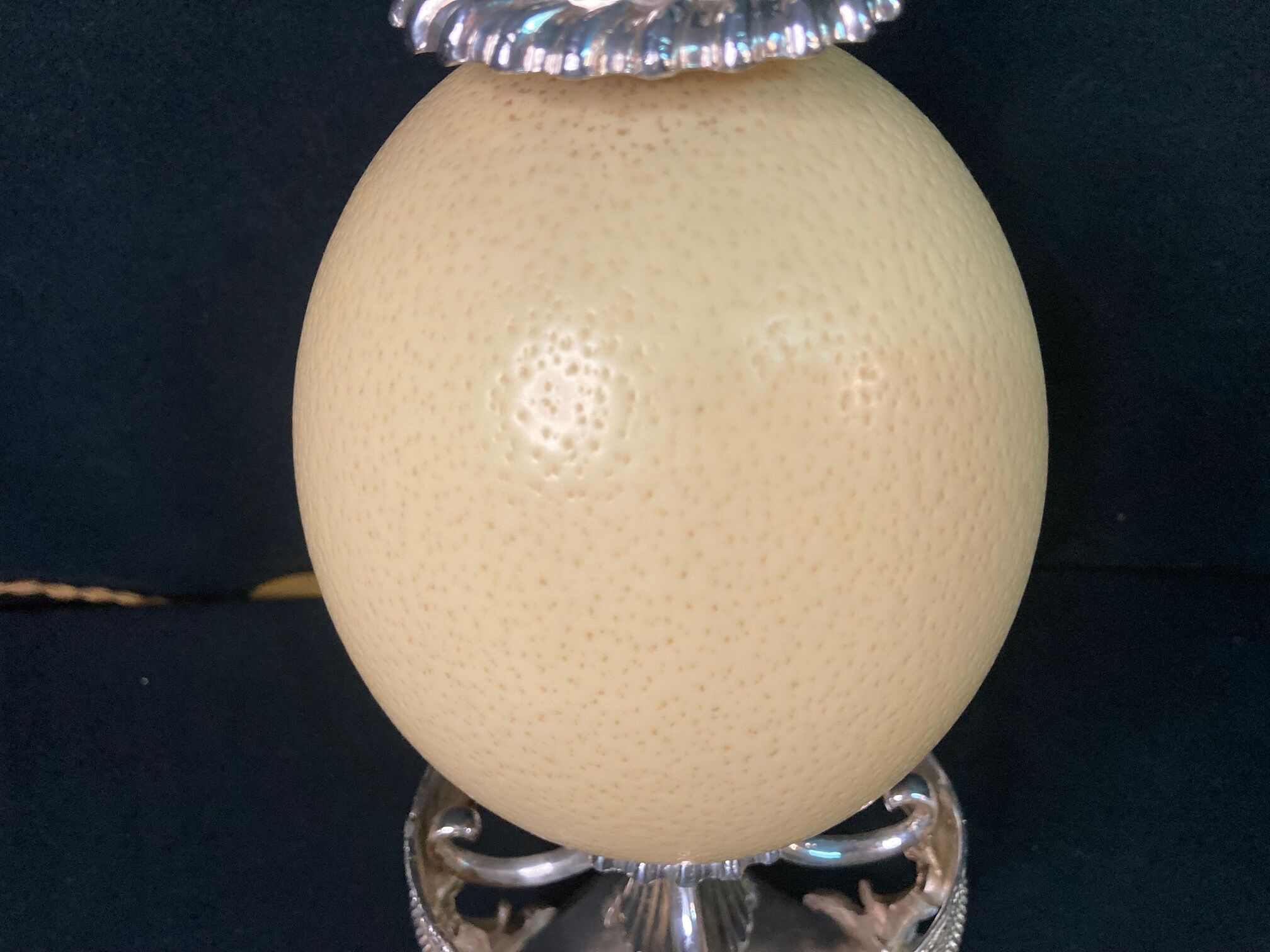 Old lamp foot silver metal and ostrich egg late nineteenth century