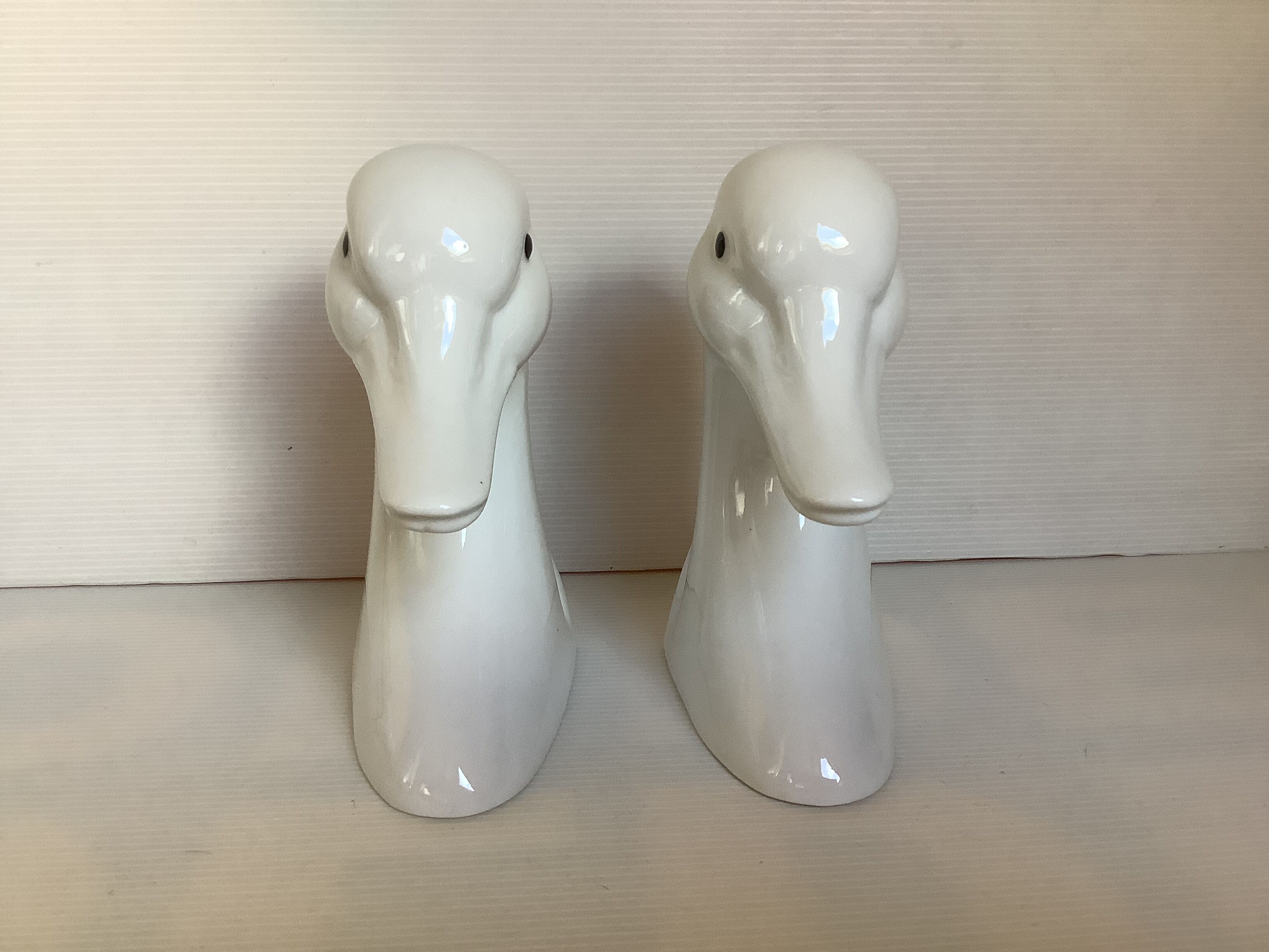 Pair of greenhouse books geese ducks swans
