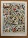 Vintage illustrated plate about birds (parrot) - 1930