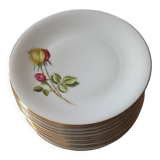 6 assiettes en porcelaine bavaroise Altesse de Vercor