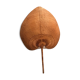 Palme en paille