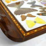 Butterfly tray