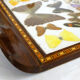 Butterfly tray