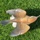 Oiseau numéroté et signé Karl Ens, en porcelaine de Saxe, XIXème siècle
