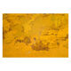 Wooden bench and yellow patina cast iron