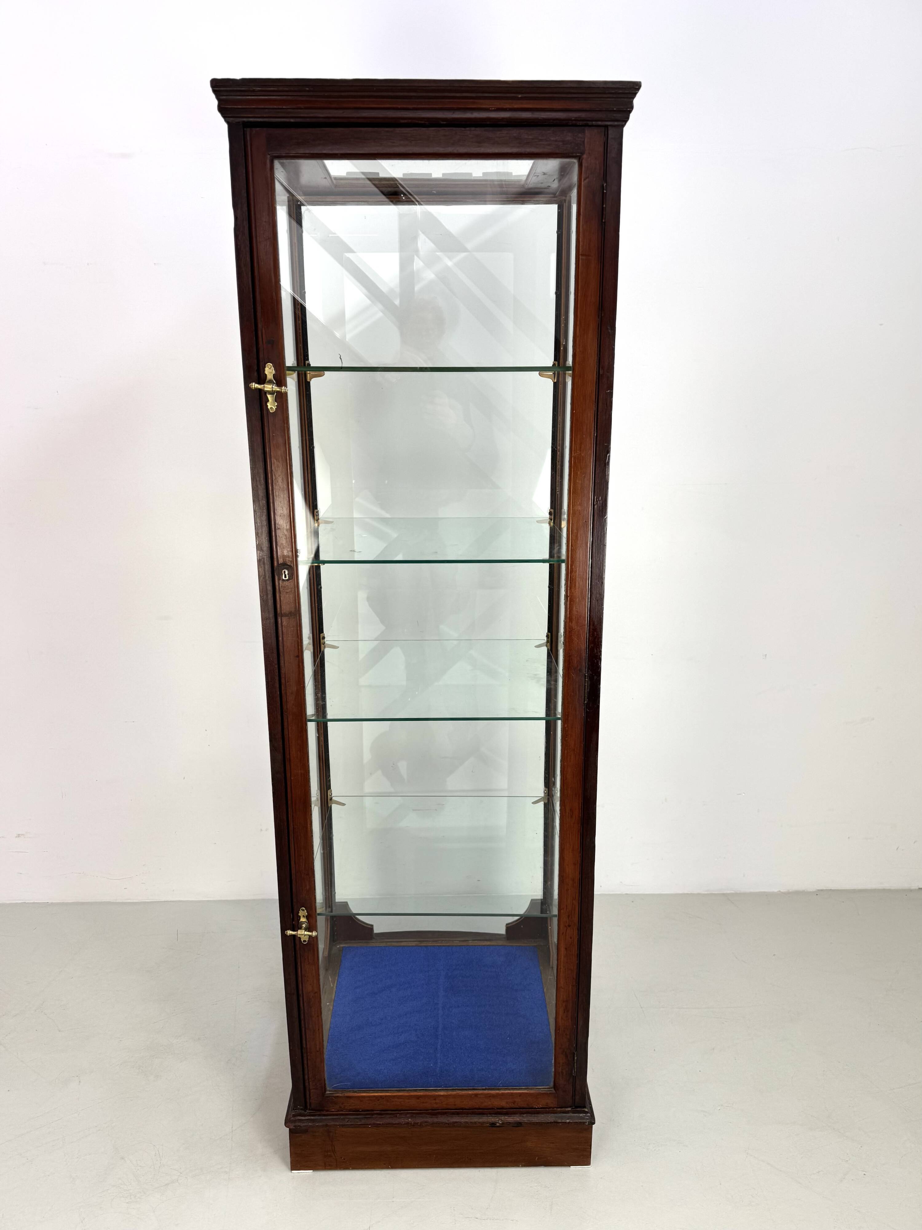 Beautiful mahogany museum display cabinet from England, circa 1925.