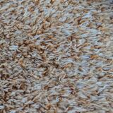 Tapis en laine