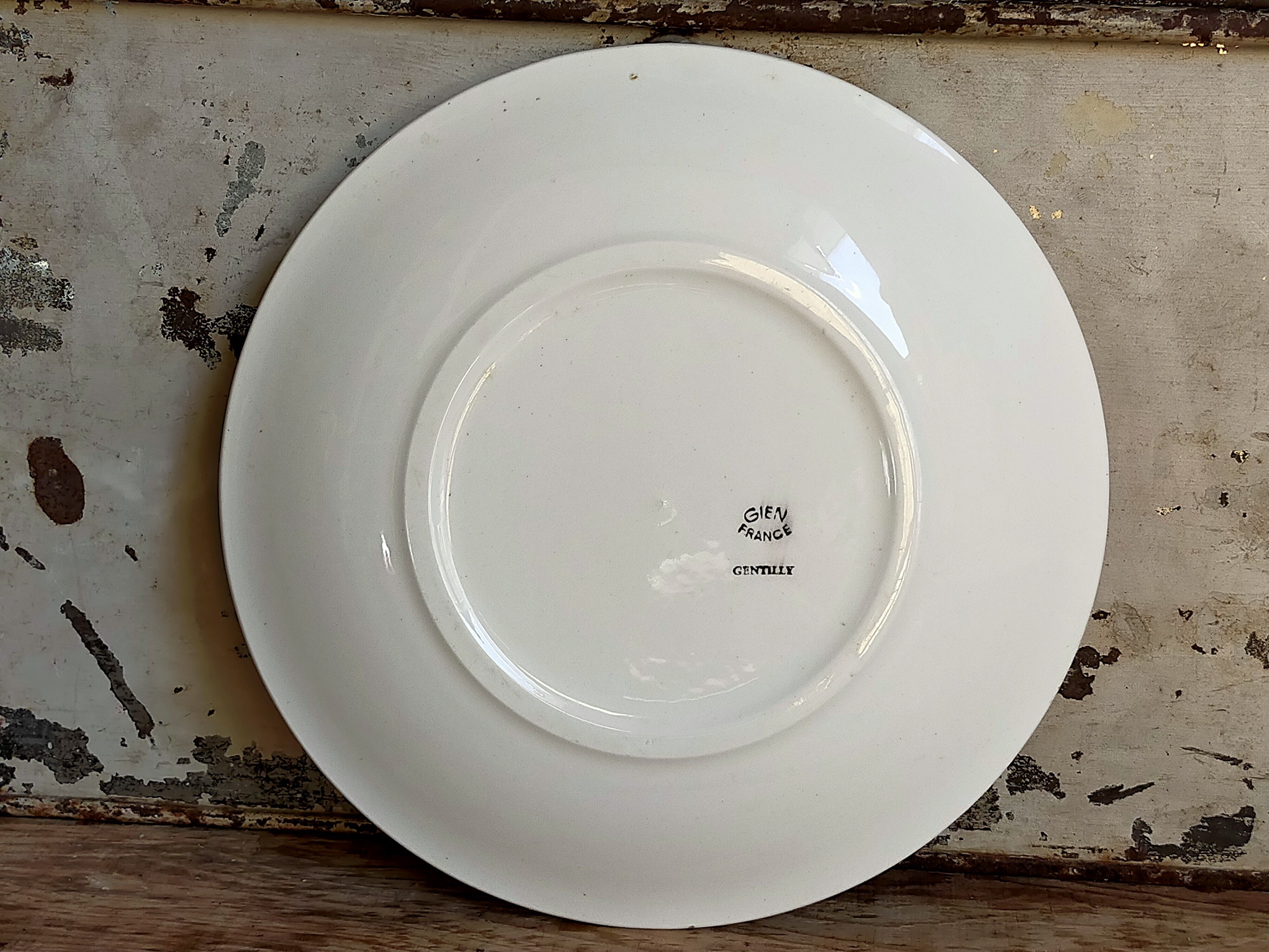 Seven vintage plates in fine earthenware from Gien service Gentilly