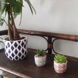 Furniture shelves in rattan 70s