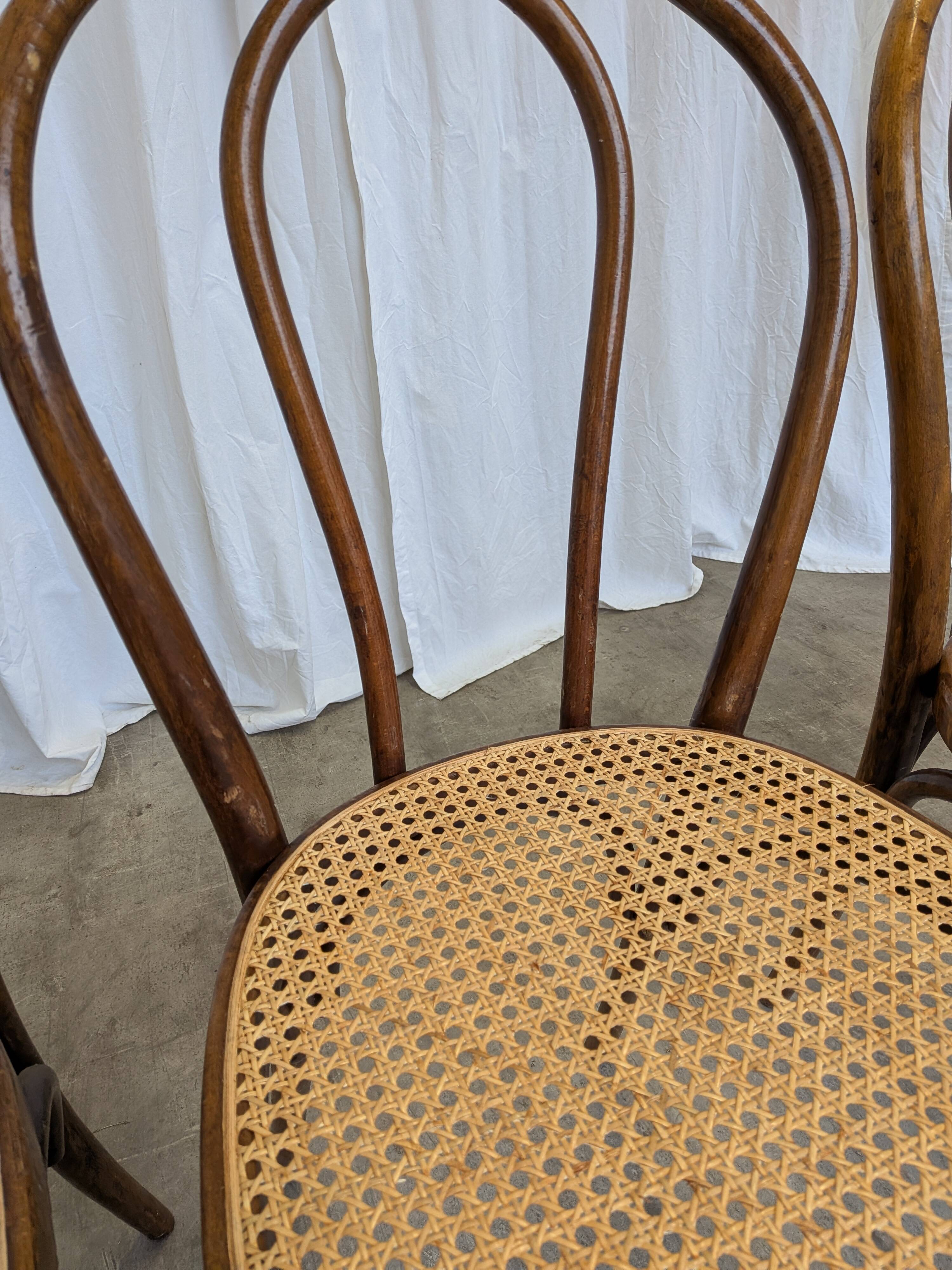 Set of 4 Vintage Thonet Style Dining Chairs: Bentwood Cane Seat, 1970s Bist