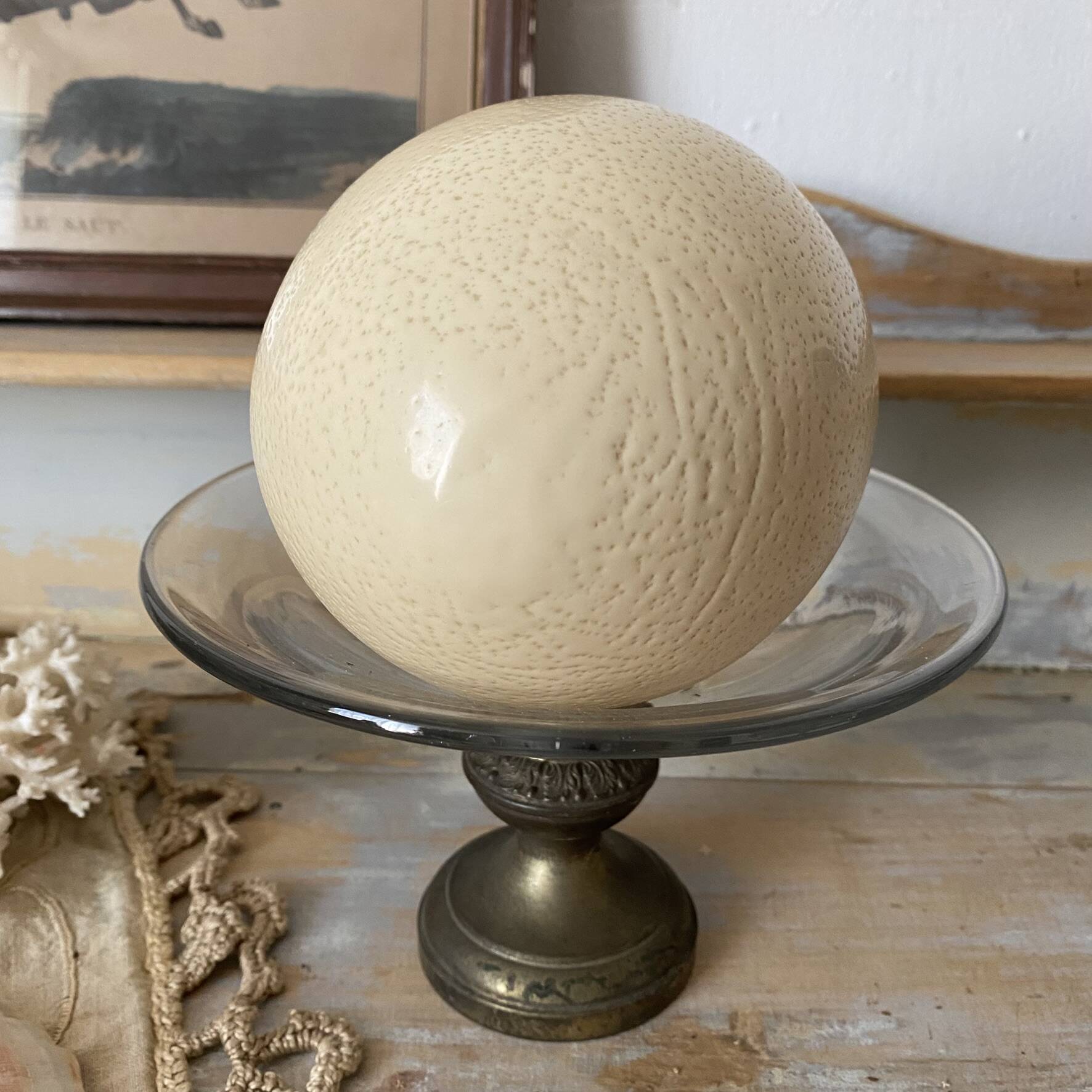 Ostrich egg curiosity cabinet