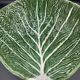 Large Salad Bowl Barbotine Cabbage Leaf - Portugal Vintage P.777A