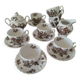 Vintage Johnson Brothers “Devon Sprays” Set