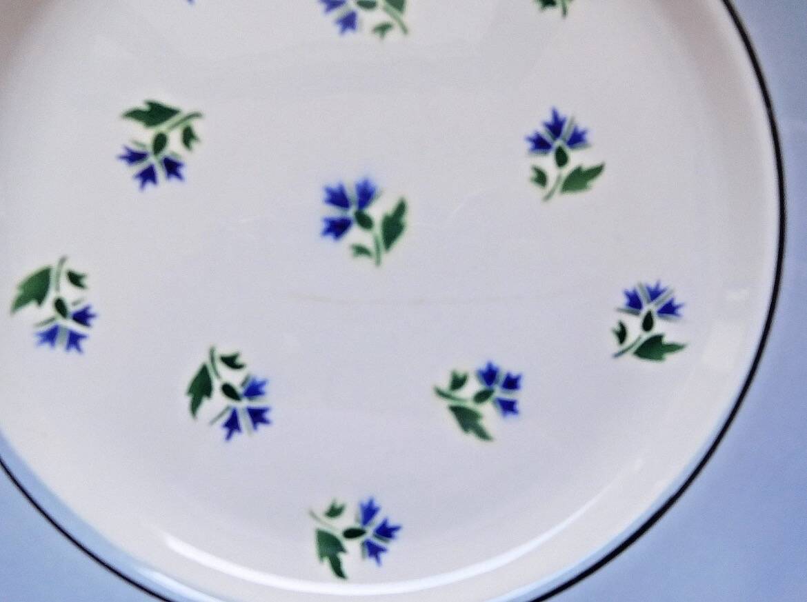 Flat plates Digoin Sarreguemines model Albe