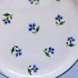 Flat plates Digoin Sarreguemines model Albe