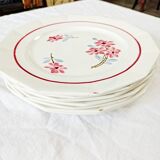 7 flat plates St-Amand Ceranord