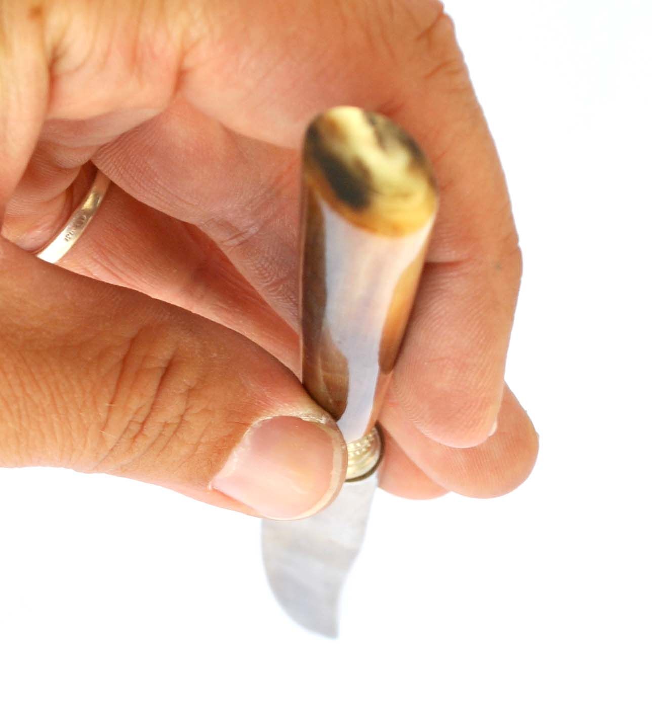 Set of 10 old knives in horn and steel 1920 dessert fruit