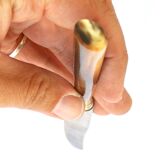 Set of 10 old knives in horn and steel 1920 dessert fruit