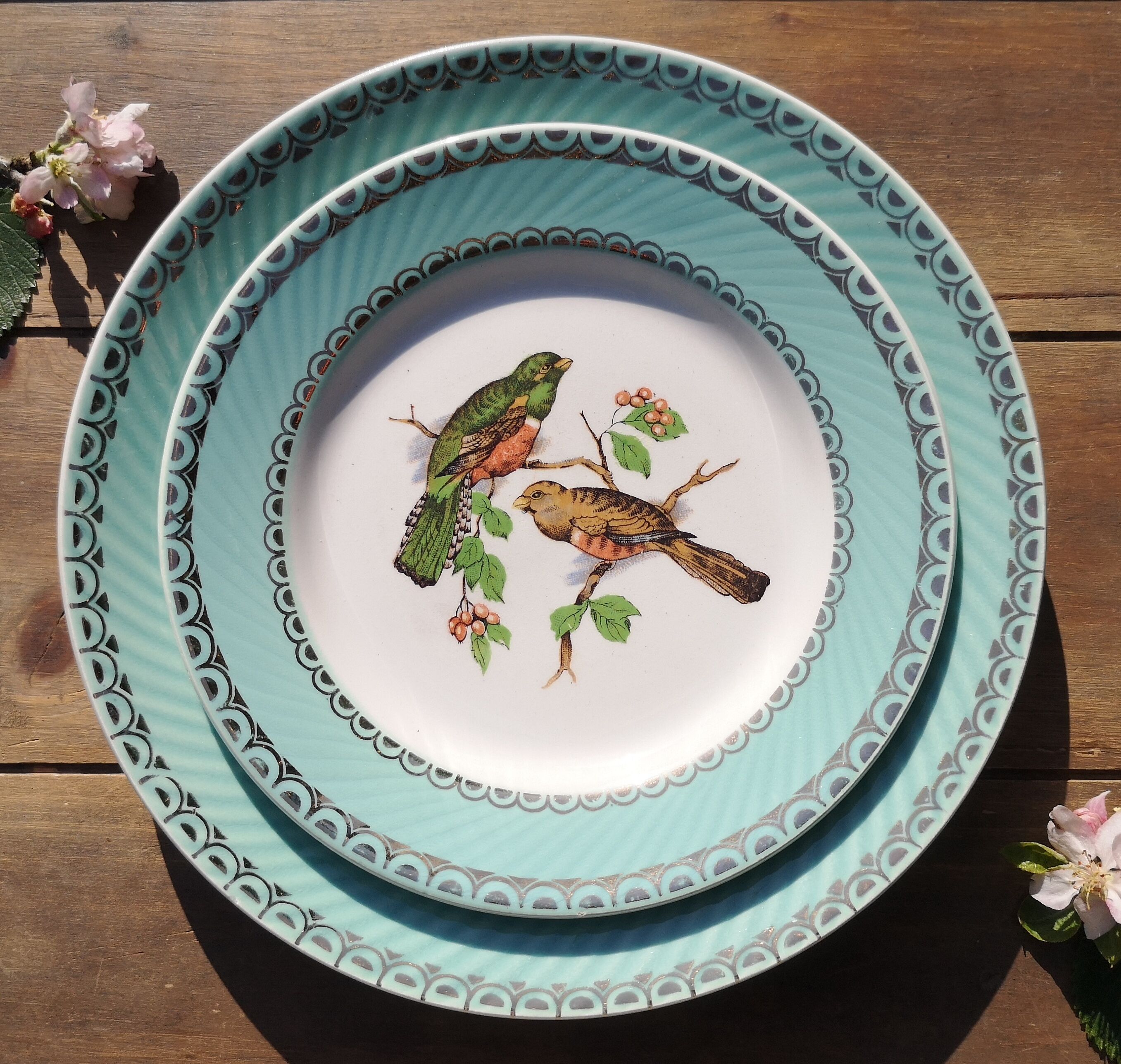 Badonviller birds dessert plates