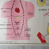 Poster school Nightingale skin no.18 No.17 system friendly