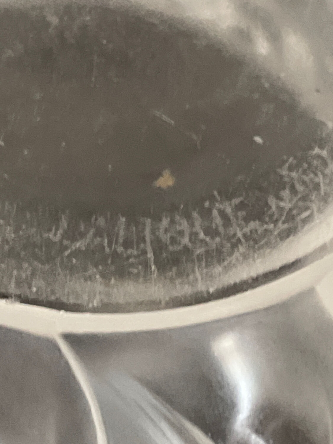 Lalique vase crystal