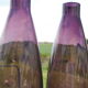 Purple glass vase duo