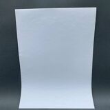 Silver gelatin photograph by Bernard Darot, Undergrowth, 20th century