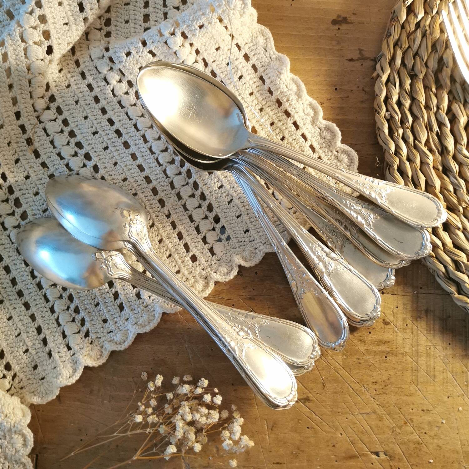 Ercuis 12 antique silver-plated spoons 1910