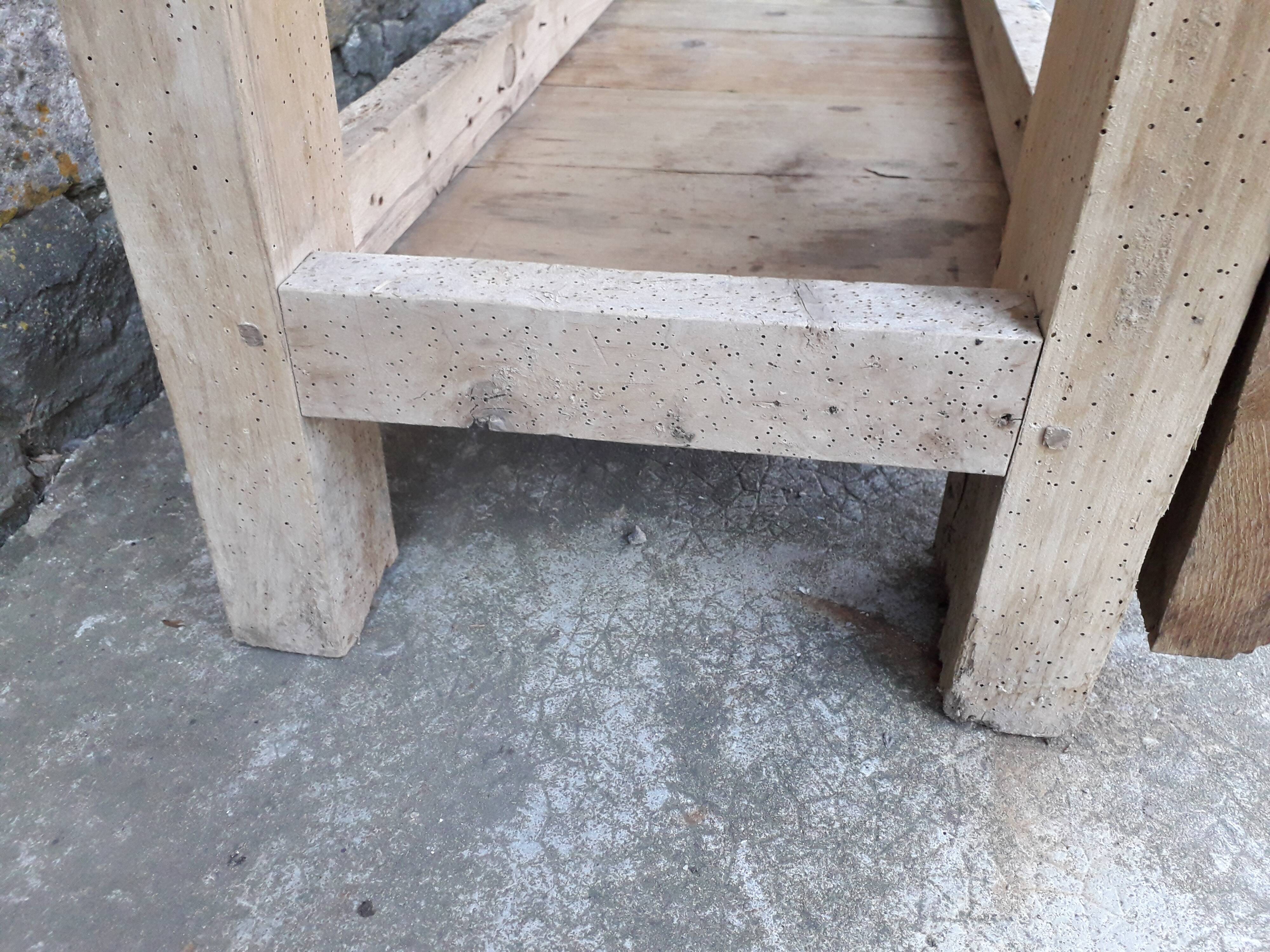 Old established 166 cm